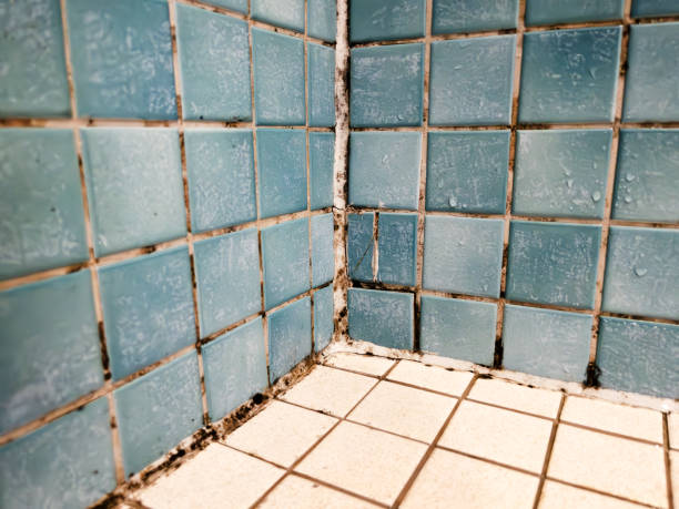 Best Forensic Mold Investigation  in Oglethorpe, GA