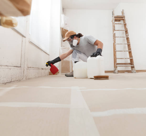 Best Crawl Space Mold Remediation  in Oglethorpe, GA